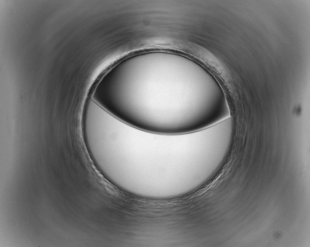 X0000099291328200805020724