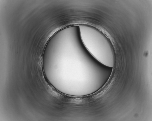 X0000099291329200805020724