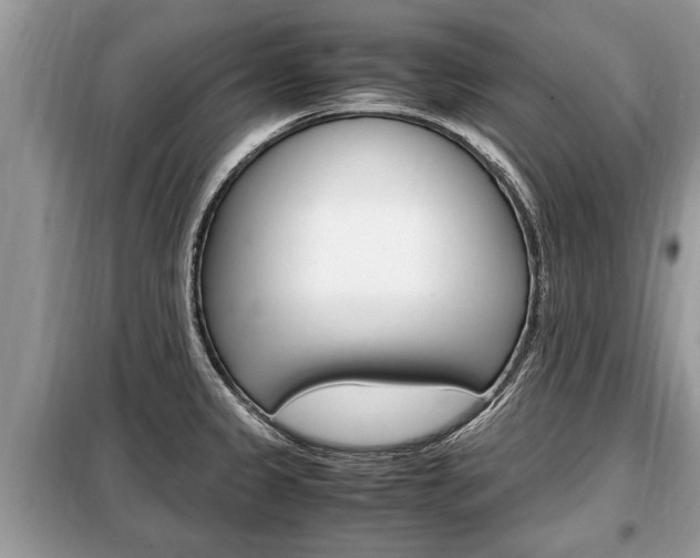 X0000099291333200805020724