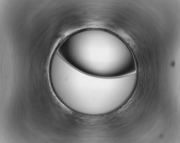 X0000099291334200805020724