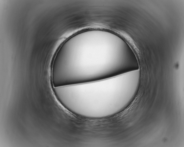 X0000099291335200805020724