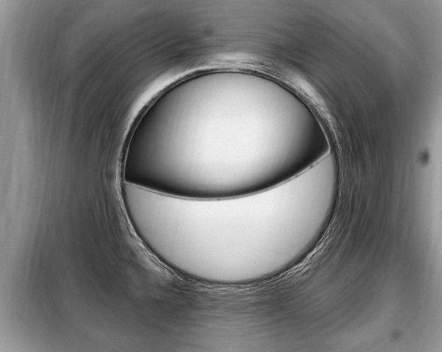 X0000099291336200805020724