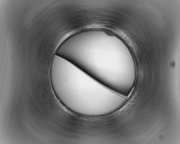 X0000099291337200805020724
