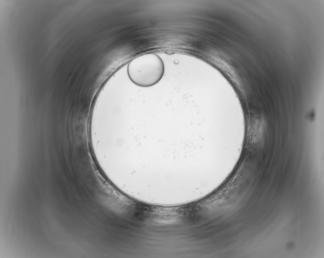 X0000099291338200805020724