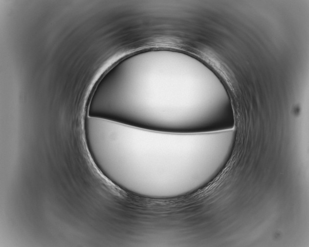 X0000099291339200805020724