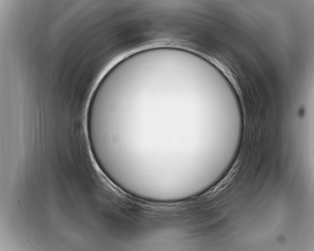 X0000099291342200805020724