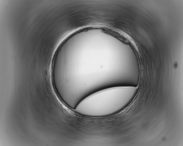 X0000099291343200805020724