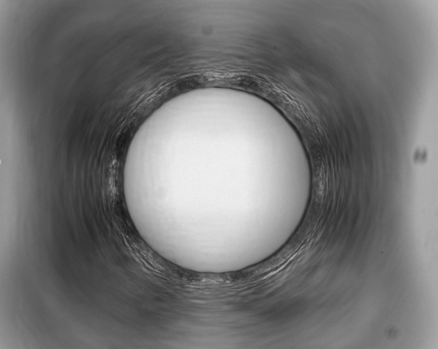 X0000099291346200805020723