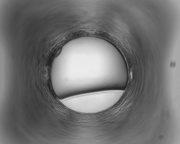 X0000099291347200805020723