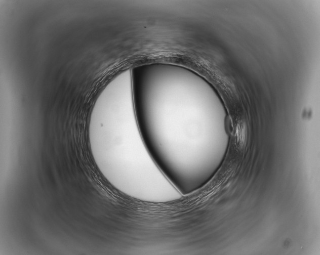 X0000099291348200805020723