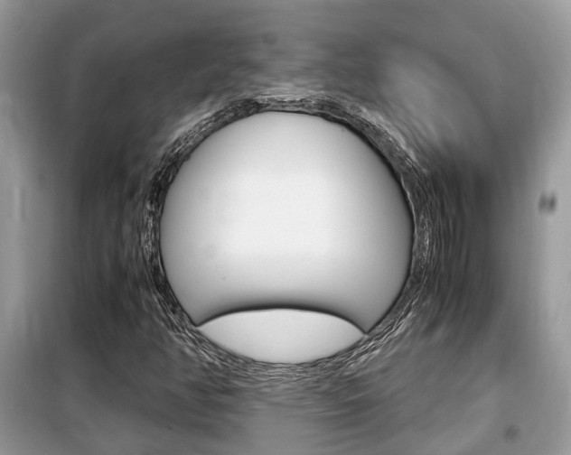 X0000099291350200805020723