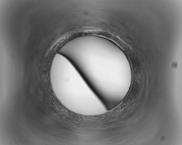 X0000099291351200805020723