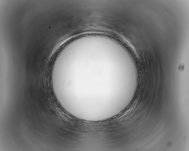 X0000099291352200805020723