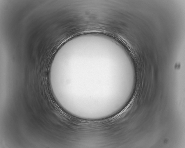 X0000099291353200805020723