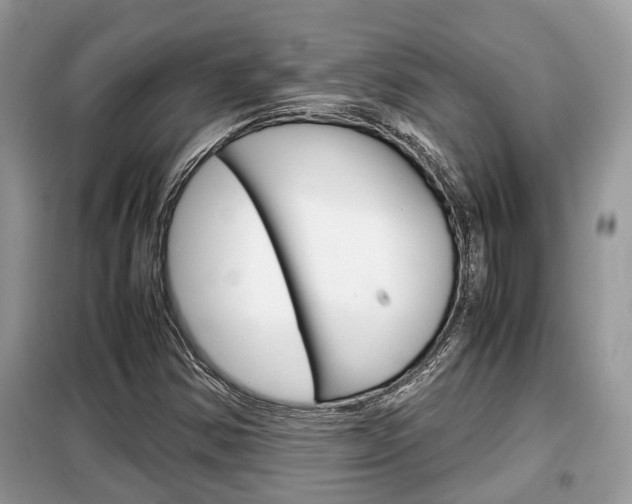 X0000099291354200805020723