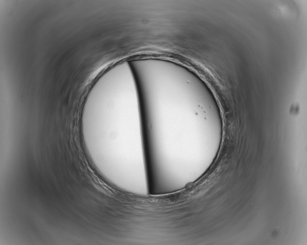 X0000099291355200805020723