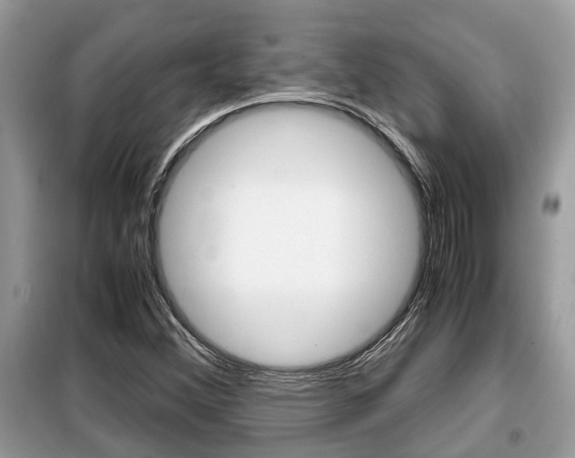 X0000099291356200805020723