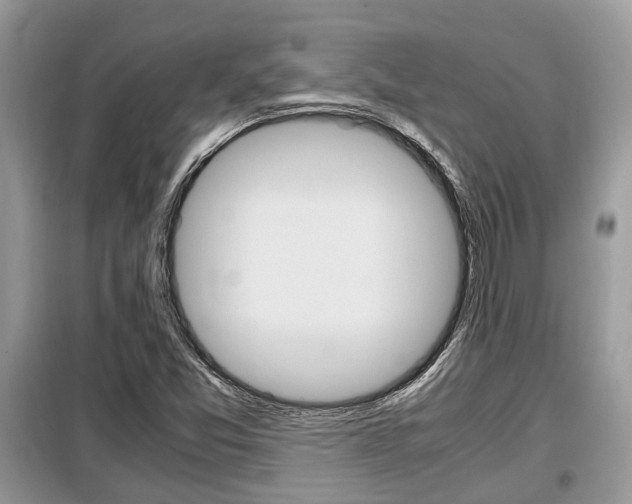 X0000099291357200805020723