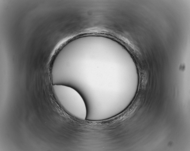 X0000099291358200805020723