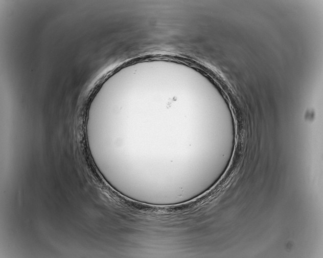 X0000099291359200805020723