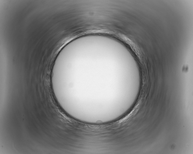 X0000099291361200805020723
