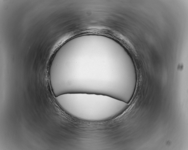 X0000099291362200805020723