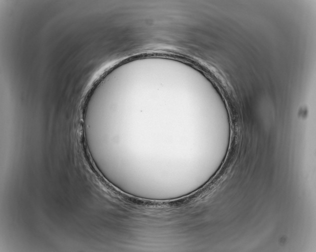 X0000099291363200805020723