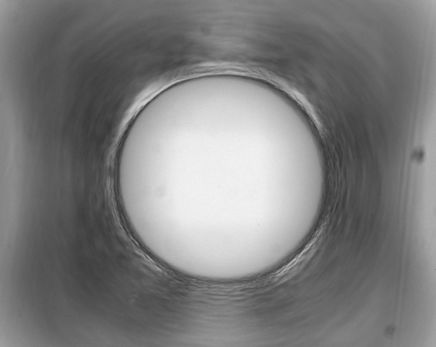 X0000099291365200805020723