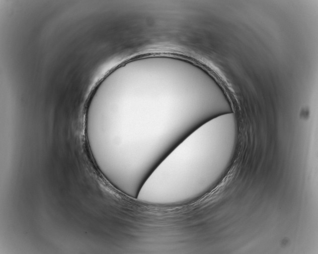 X0000099291366200805020723