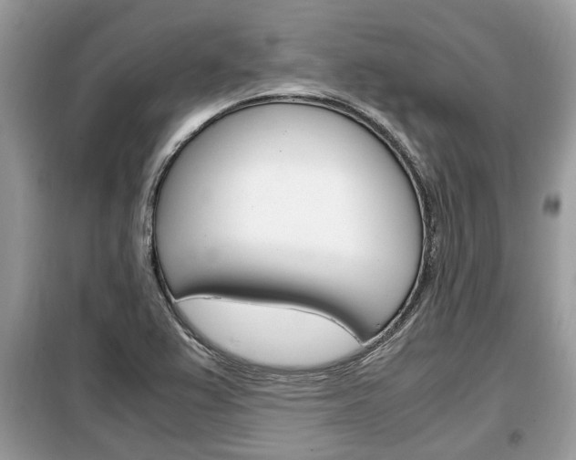 X0000099291367200805020723