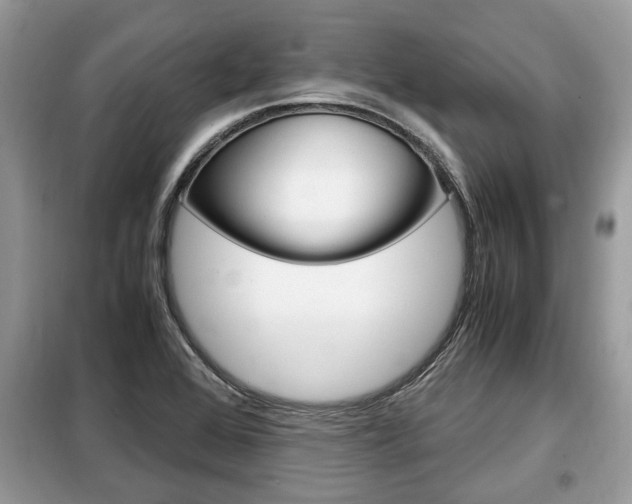 X0000099291368200805020723