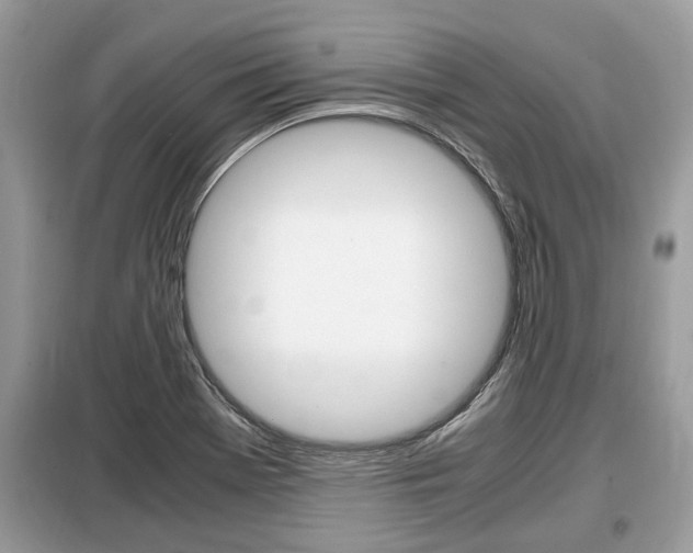 X0000099291369200805020723