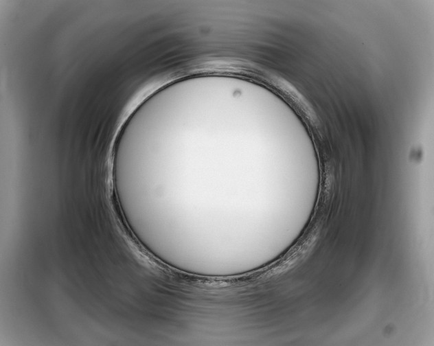 X0000099291370200805020723