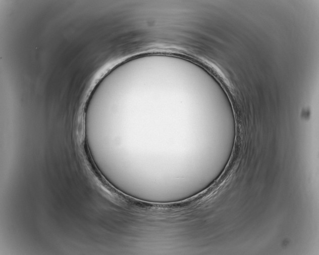 X0000099291371200805020723