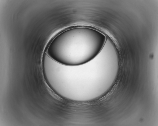 X0000099291372200805020723