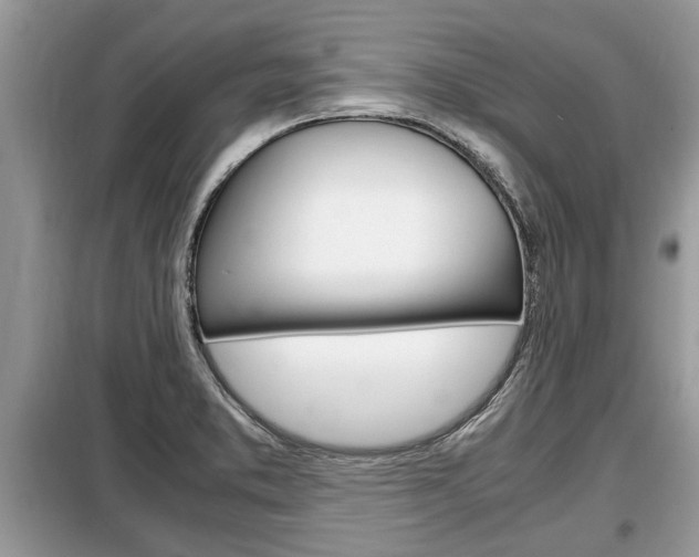 X0000099291373200805020723