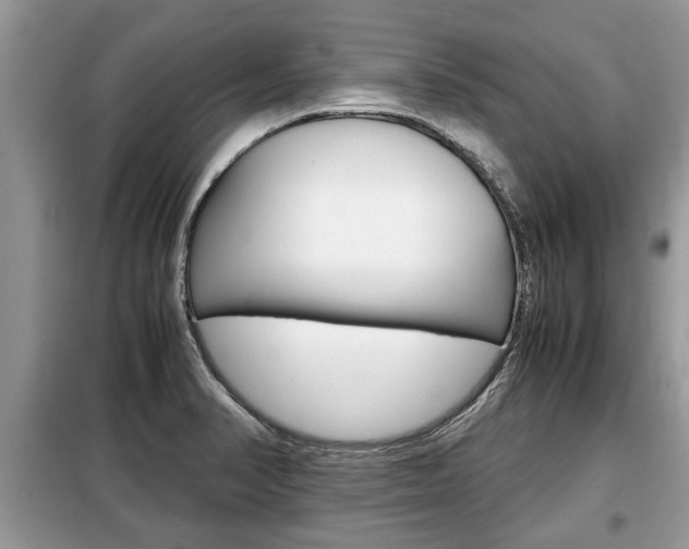 X0000099291374200805020723