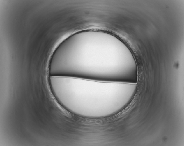 X0000099291375200805020723