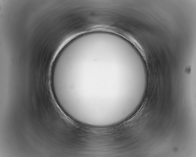 X0000099291376200805020723