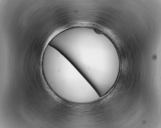 X0000099291378200805020723