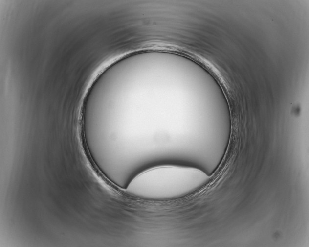 X0000099291379200805020723