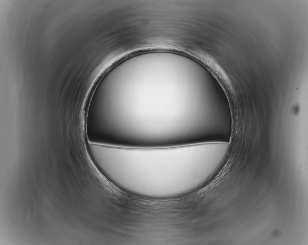 X0000099291380200805020723