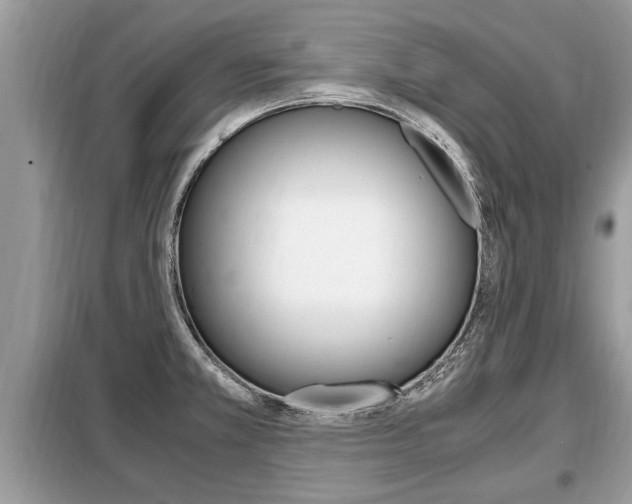 X0000099291381200805020723
