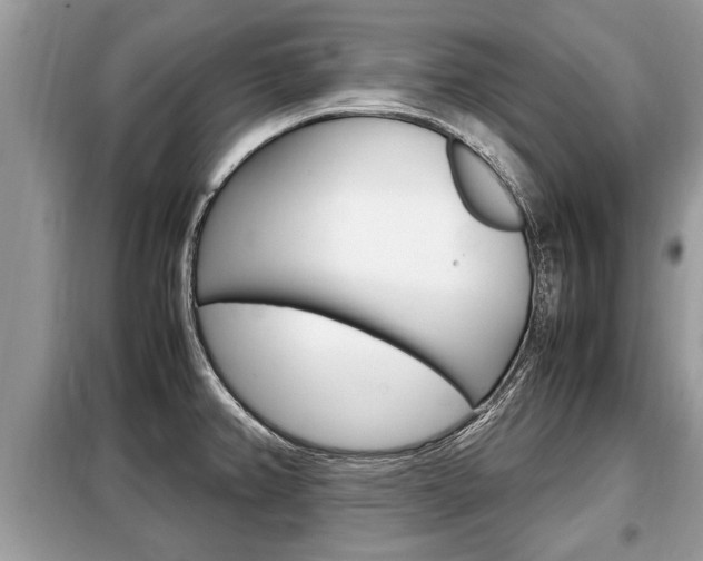 X0000099291382200805020723