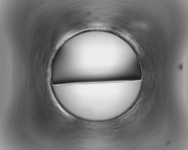 X0000099291383200805020723