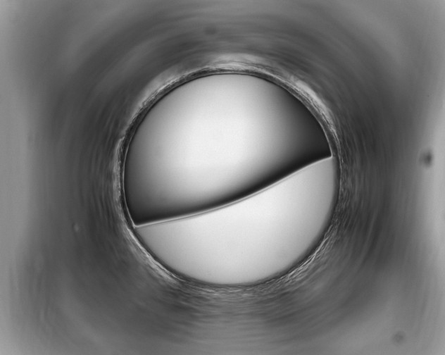 X0000099291384200805020723
