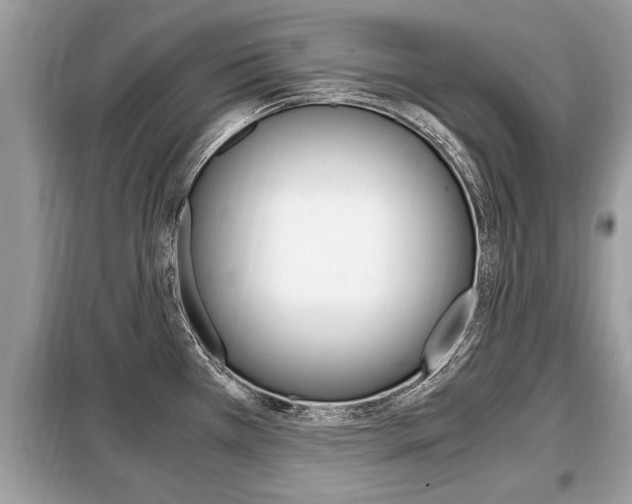 X0000099291385200805020723