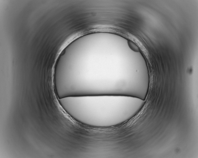 X0000099291386200805020723