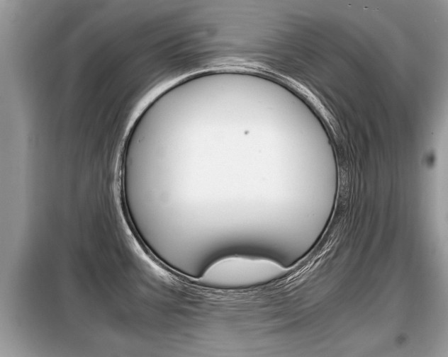 X0000099291387200805020723