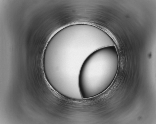 X0000099291388200805020723